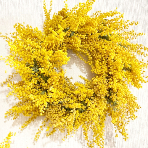 2026(早割)ミモザのドライフラワーリース (約26センチ) ドライフラワー