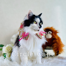 ふわふわゴージャスおめかしドレス♡ファーケープ付き♡犬服ハンドメイド