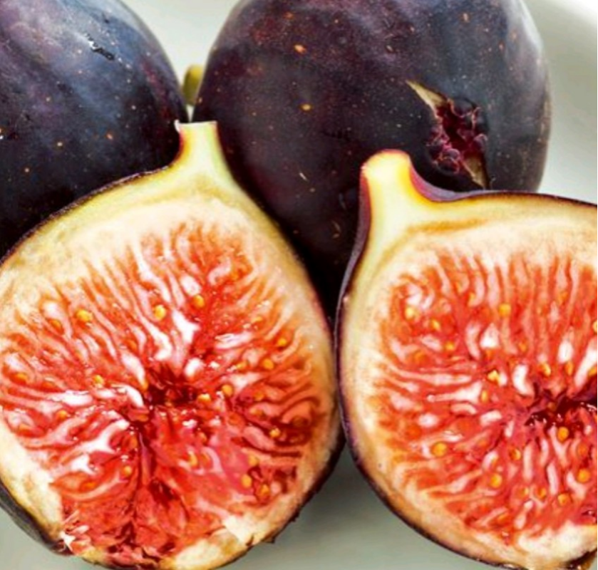黒イチジク【ビオレソリエス】甘さと香りが抜群に良く、市場にほとんど出回らないため「幻の黒イチジク」とも呼ばれ豊産性で1本