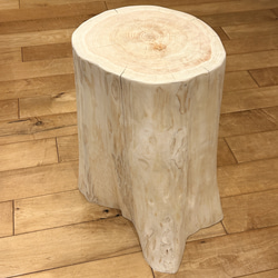 Pet Table Hinoki】 No.1259