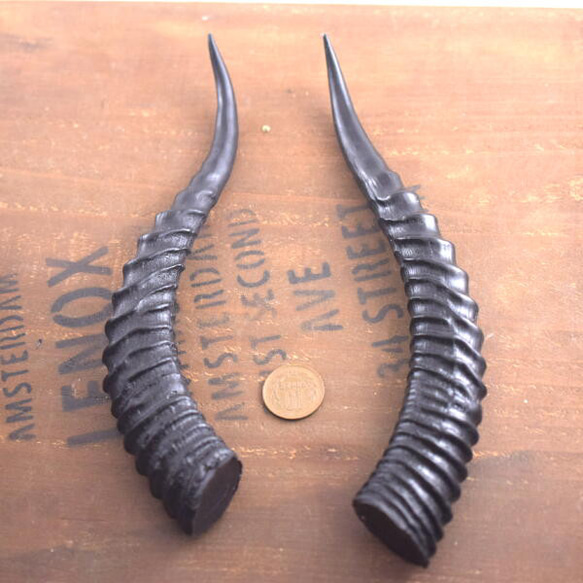 山羊の角 樹脂 その他素材 material-mine 通販 18842757｜Creema(クリーマ)