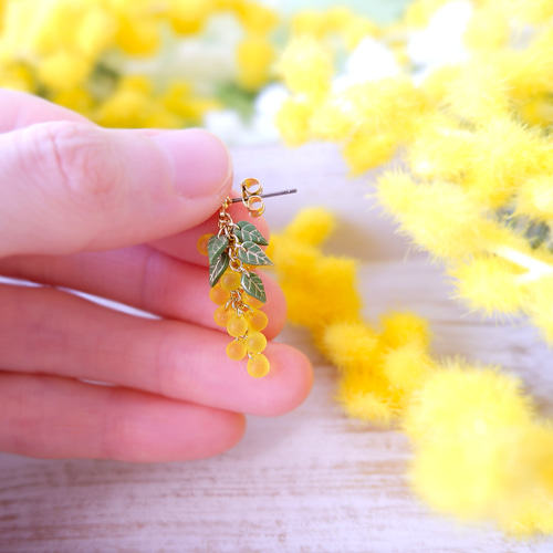 販売終了】春風にゆれるミモザのイヤリング、ピアス・受注制作