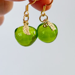 りんごのピアス・イヤリング/green apple/青リンゴ/黄緑/青緑 5枚目の画像