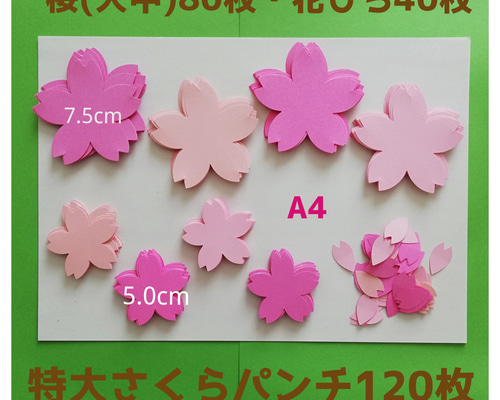 桜 壁面飾り 製作キット メッセージカード 春 3月 4月 保育 高齢