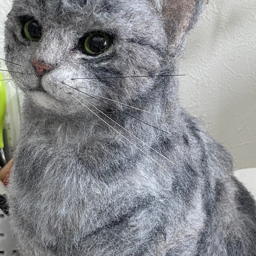 オーダー受付します。羊毛フェルト オーダー♪ 犬、鳥、猫