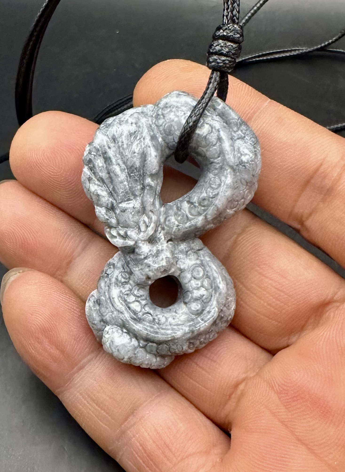 2025.1.29 迎新春黒翡翠磐龍