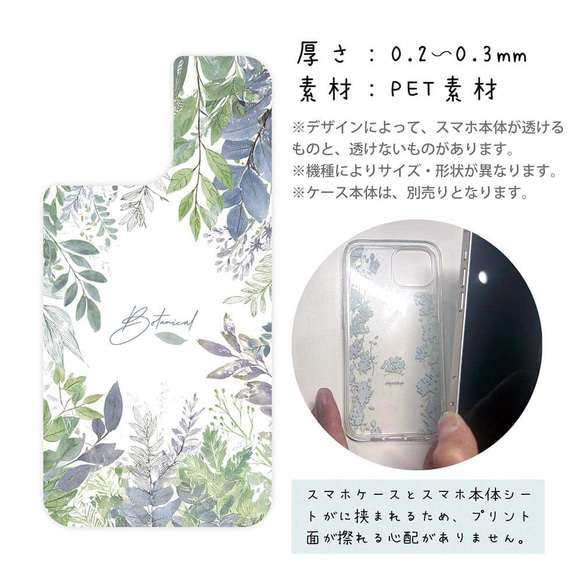  第3張的照片