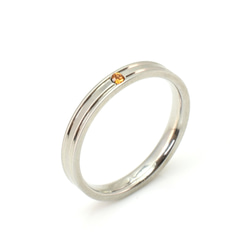 【単品・誕生石セットも可】シンプルダブルラインリング 結婚指輪 記念日 ご褒美リング サージカルステンレス 3枚目の画像