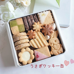 ディアマンクッキー缶 クッキー maizenita 通販 16658449