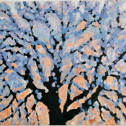 41㎝角「朝の桜」油彩・原画・S６ 41㎝角「朝の桜」油彩・原画・S6