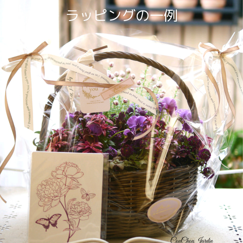 【超特価sale開催】  プリマヴェーラ〛 寄せ植え パンジービオラ ブリキバスケット 生花フラワーアレンジメント
