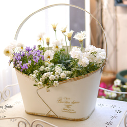 お値下げ　『poème』フリルパンジーとローダンセマムの寄せ植えバスケット アンティークカラーのフリル咲きパンジーのハンギングバスケット（寄せ フラワーアレンジメント