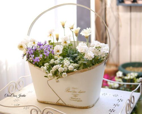 fde153f6df84bb6227e50f736d2c16