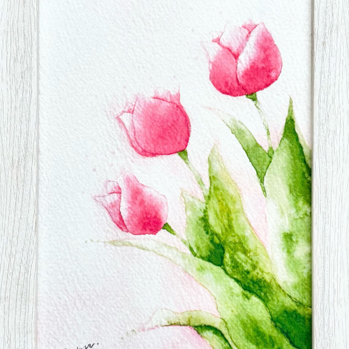 透明水彩画 A4ポスター「ぷっくりチューリップ」春 花 フラワー