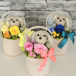 ★送料無料！花と犬【プリザーブドフラワー100%】花 犬 ペット 誕生日 犬好き 母の日 誕生日 フラワーアレンジメント 2枚目の画像