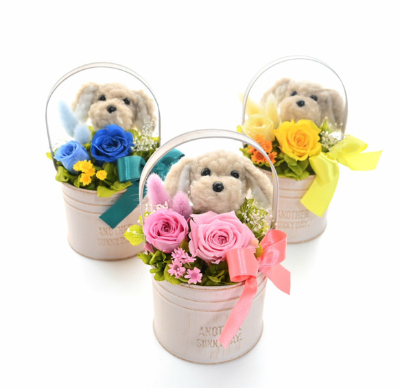 ★送料無料！花と犬【プリザーブドフラワー100%】花 犬 ペット 誕生日 犬好き 母の日 誕生日 フラワーアレンジメント 1枚目の画像