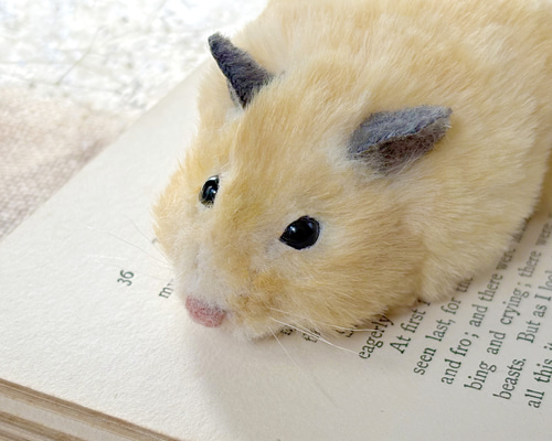 ハムスターさん専用　参考写真 セミオーダー・通常注文ページを統一しました｜キンクマハムスター