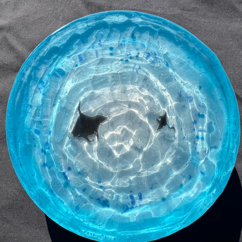 【波紋アート】AQUA ELEMENT／砂紋／15cm丸型／ナチュラルサンド／ 波紋アート】AQUA ELEMENT／砂紋／15cm丸型／ナチュラルサンド／