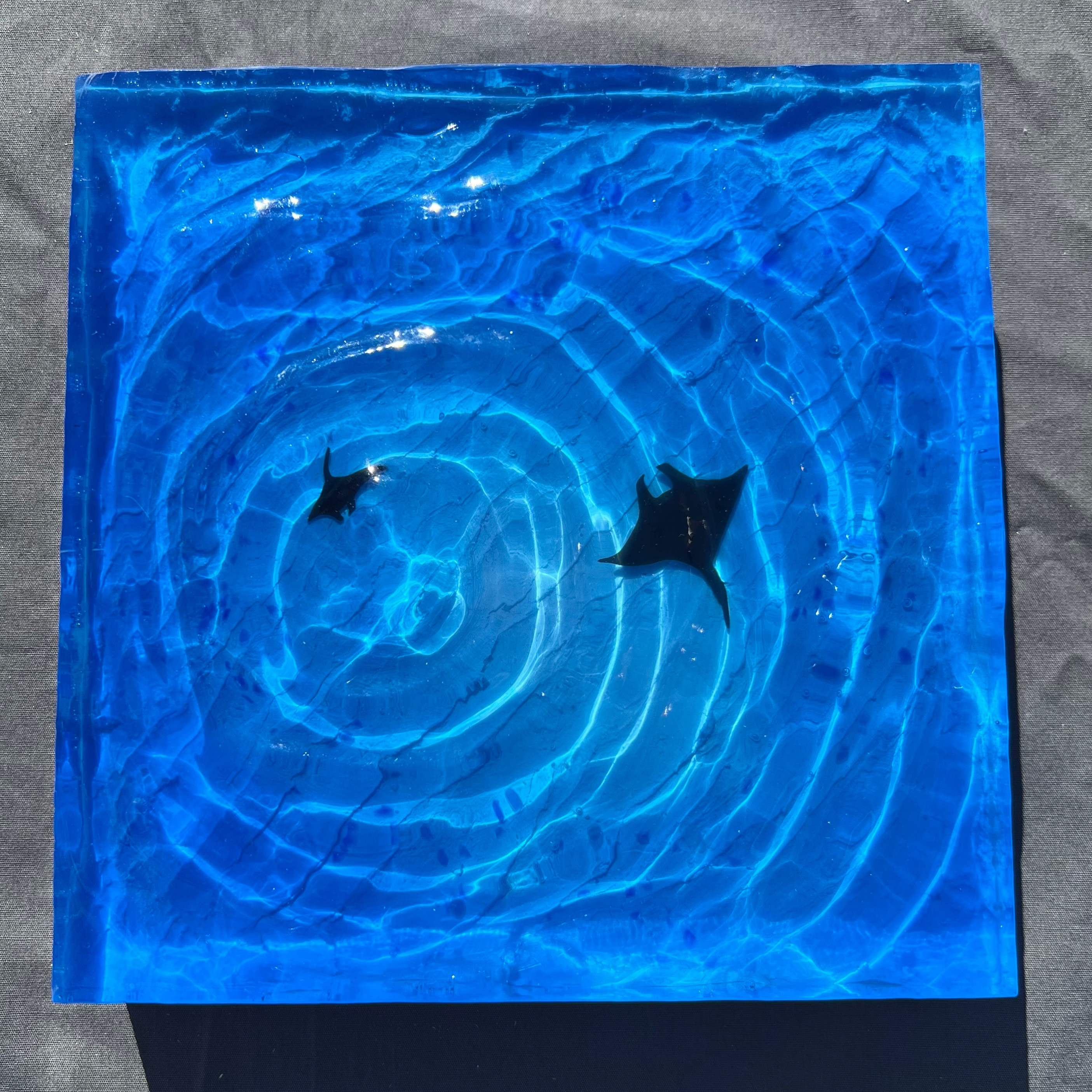 【波紋アート③】マンタの遊泳／水紋／砂紋／15cmスクエア／枠なし
