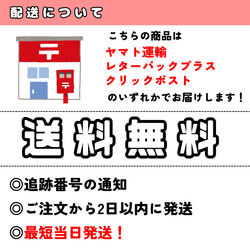 【着分販売】イタリア製／シルクオーガンジ　ミモザ風　～シルク100％～ 13枚目の画像