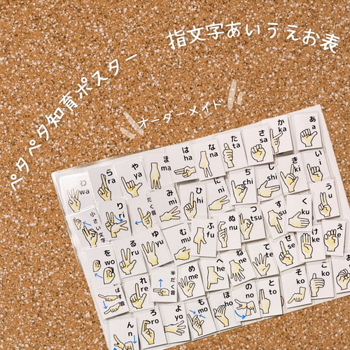 知育ポスター マッチング パズル ひらがな表 指文字 おもちゃ