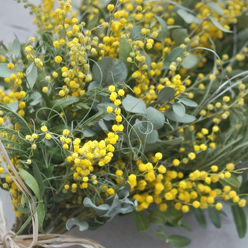 ✲* 幸せの花♥ミモザのロングナチュラルスワッグ °✲* ドライ