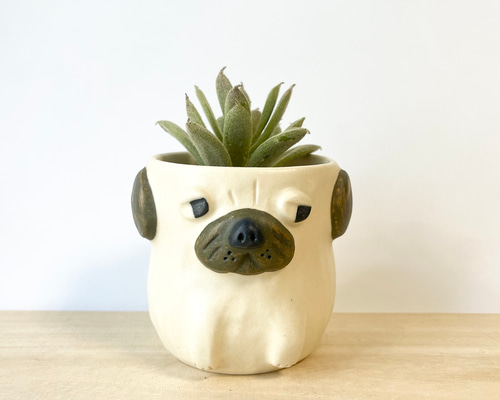 aad1c979c94a0ff592f5e72f7bb220