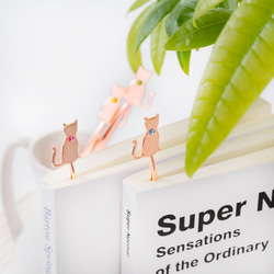 女性、子供用小さめ津軽三味線撥 アクリル（バランス変更可能）桜刻印