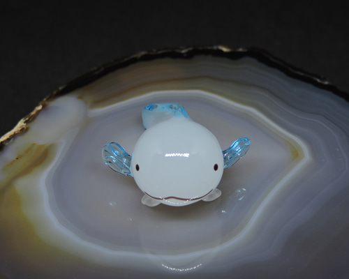 b2ae8b778a670733607c53bea57978