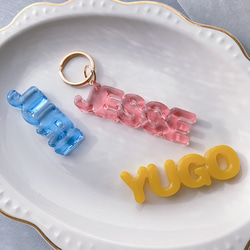期間限定価格】マカロンカラーの3Dネームアクリルキーホルダー