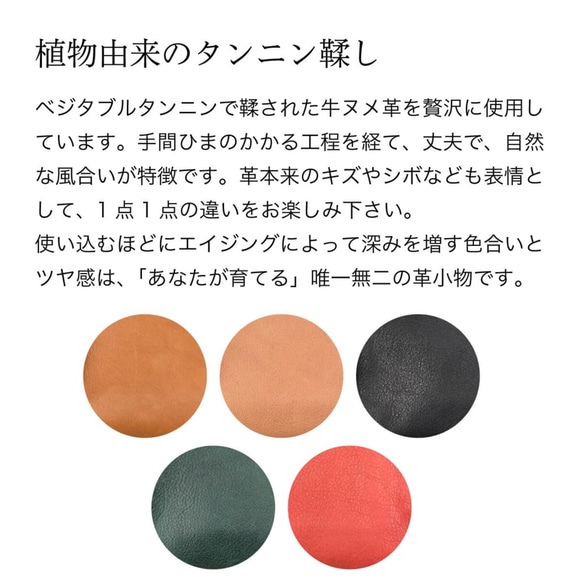  第11張的照片