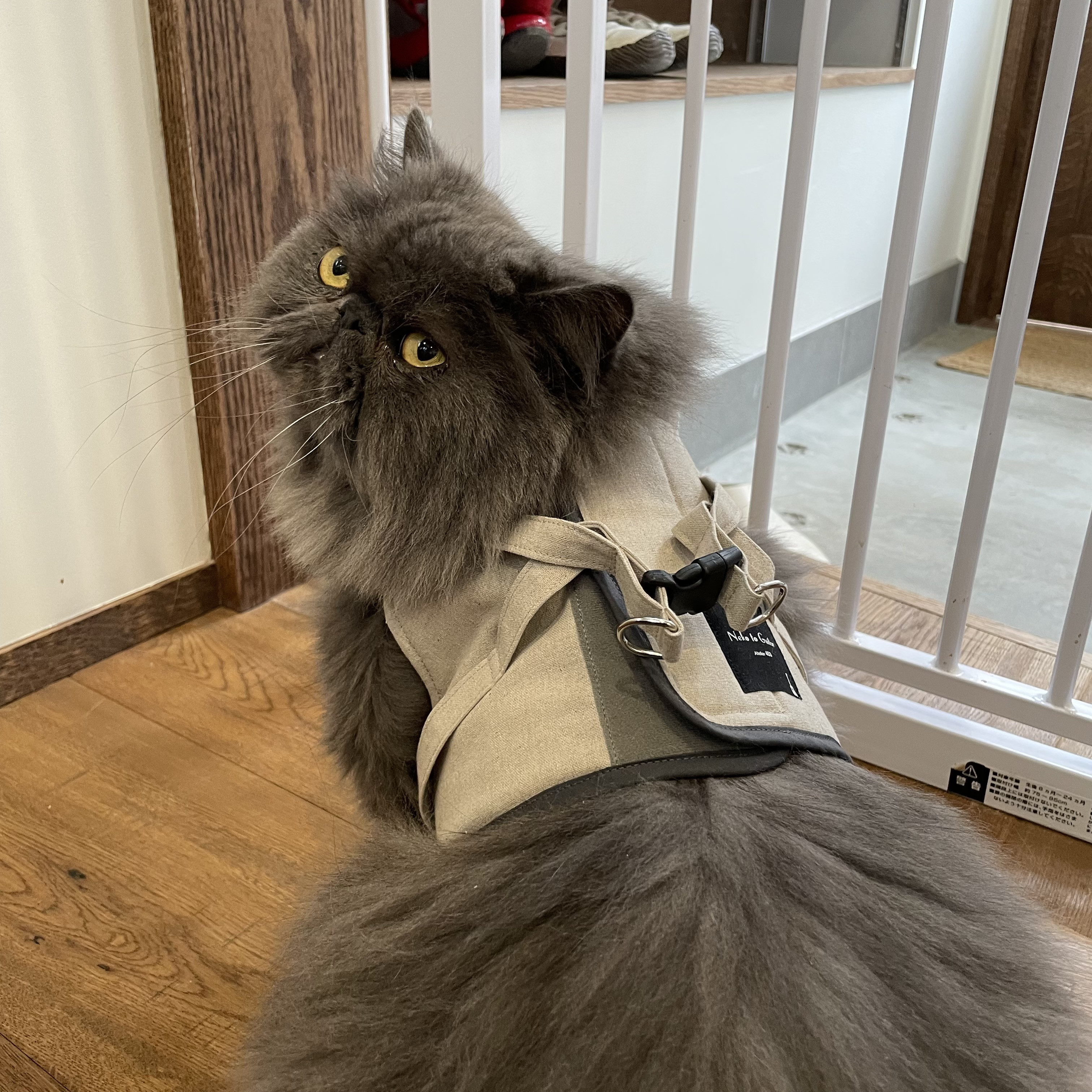 あんしんやさしいハーネス　ネコさんと小さなワンちゃんのソフトなハーネスです♡