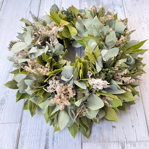 ドライフラワー）ユーカリと月桂樹とブルニアのグリーンリース ドライ