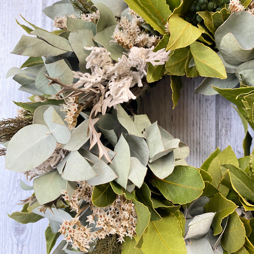 ドライフラワー）ユーカリと月桂樹とブルニアのグリーンリース ドライ