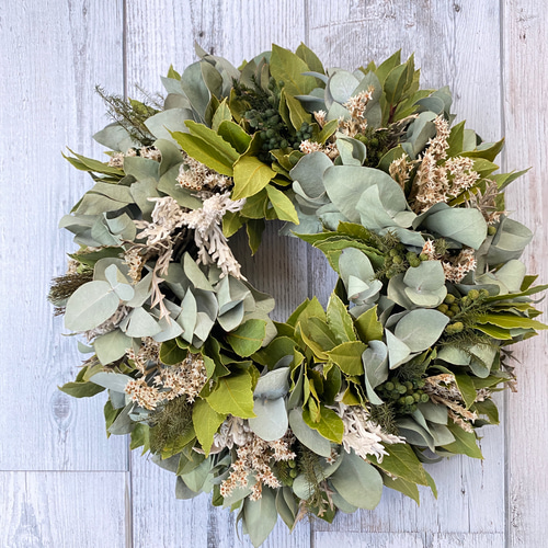 ドライフラワー）ユーカリと月桂樹とブルニアのグリーンリース ドライ