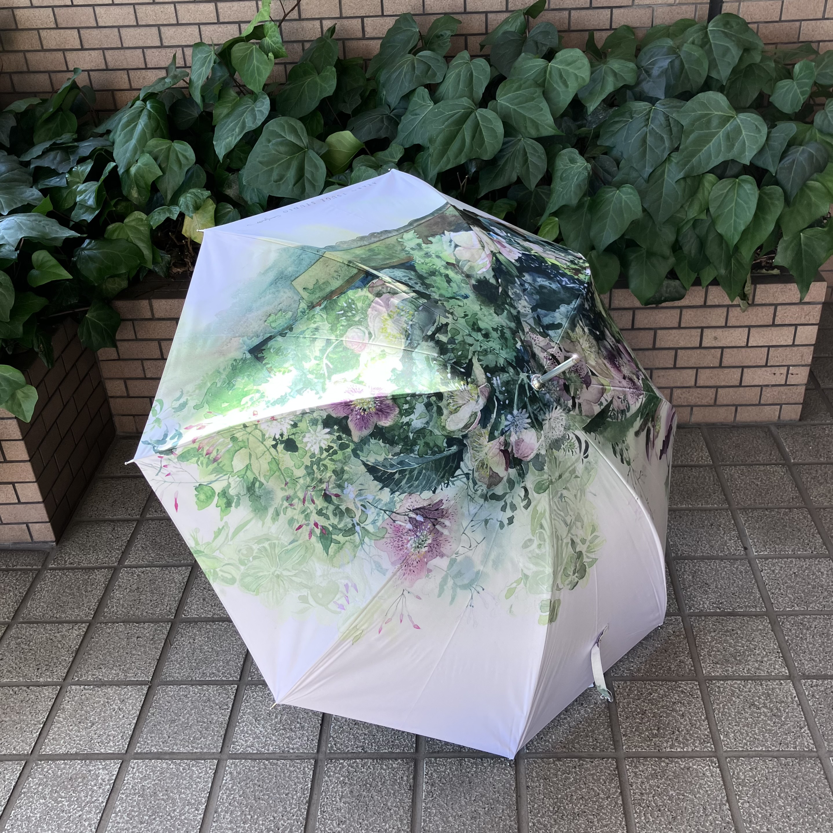 1本即納可　晴雨兼用傘　ジャンプ傘　クリスマスローズとジャスミン