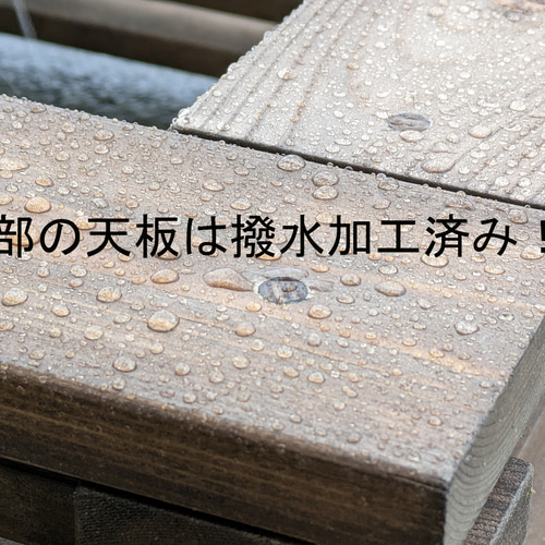 高さの有るビオトープ 40L トロ舟＆木枠セット（棚付き） メダカ＆金魚