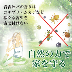  第11張的照片