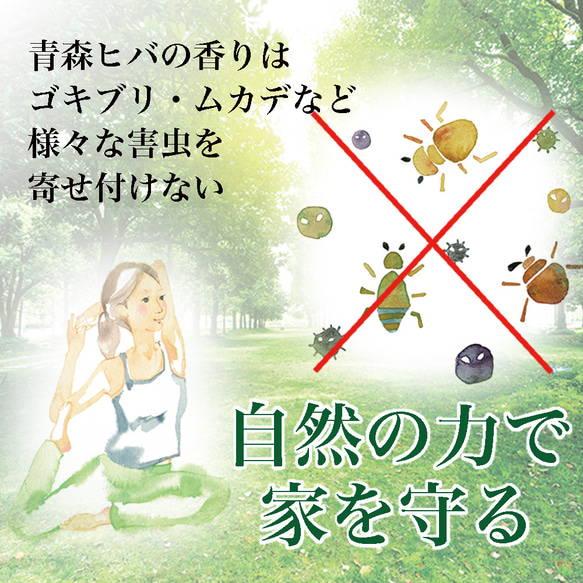  第11張的照片