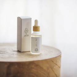  第8張的照片