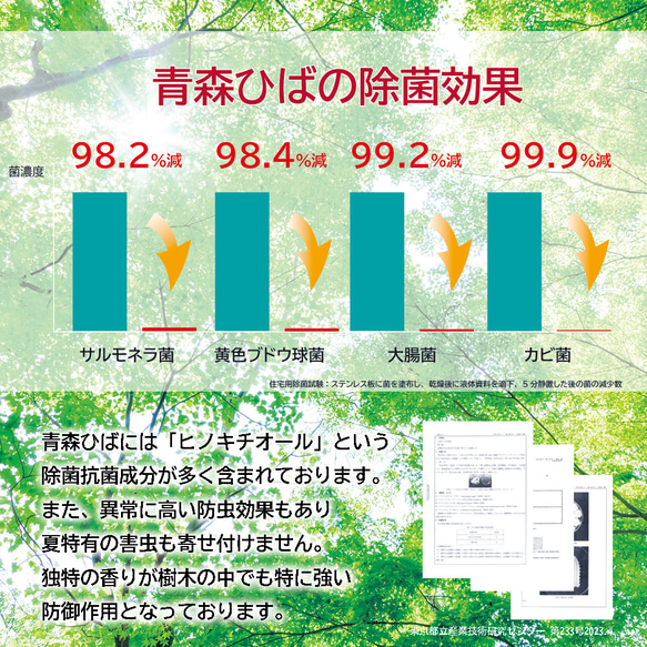 第10張的照片