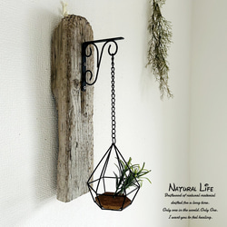 流木のお洒落な壁掛けランタン⁎✧✧壁掛けフック✧ナチュラル 雑貨