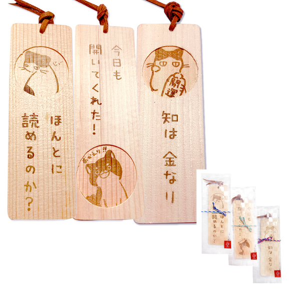  第20張的照片