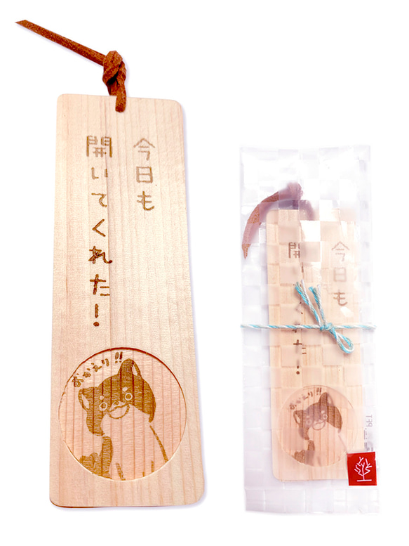  第18張的照片