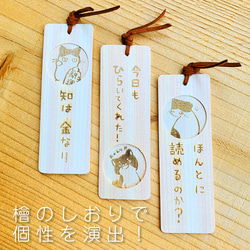  第6張的照片