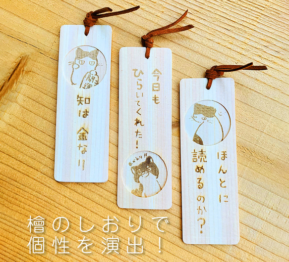  第6張的照片