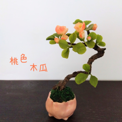 盆栽鉢（横木瓜） 手作り桃色ミルク鉢・ 桃太郎木瓜 粘土アート 盆栽