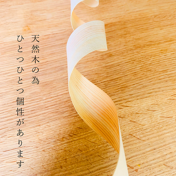  第7張的照片