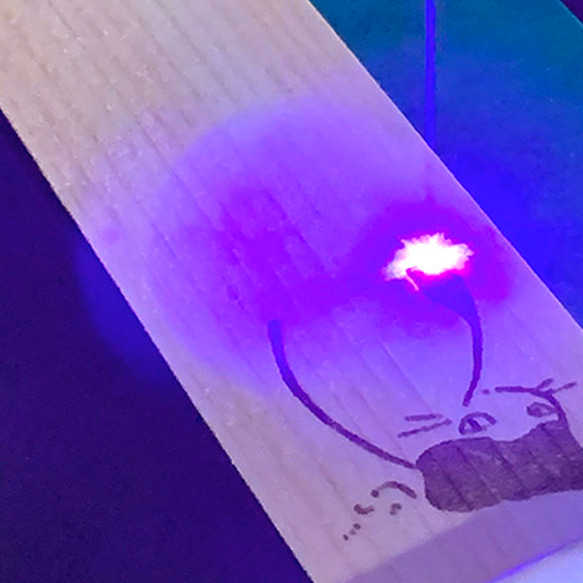  第11張的照片