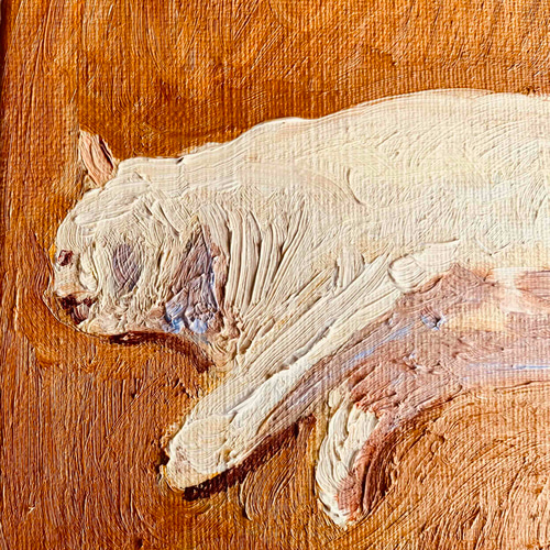 16×23㎝「優しい猫」油彩・原画・サムホールサイズ 絵画 かいが